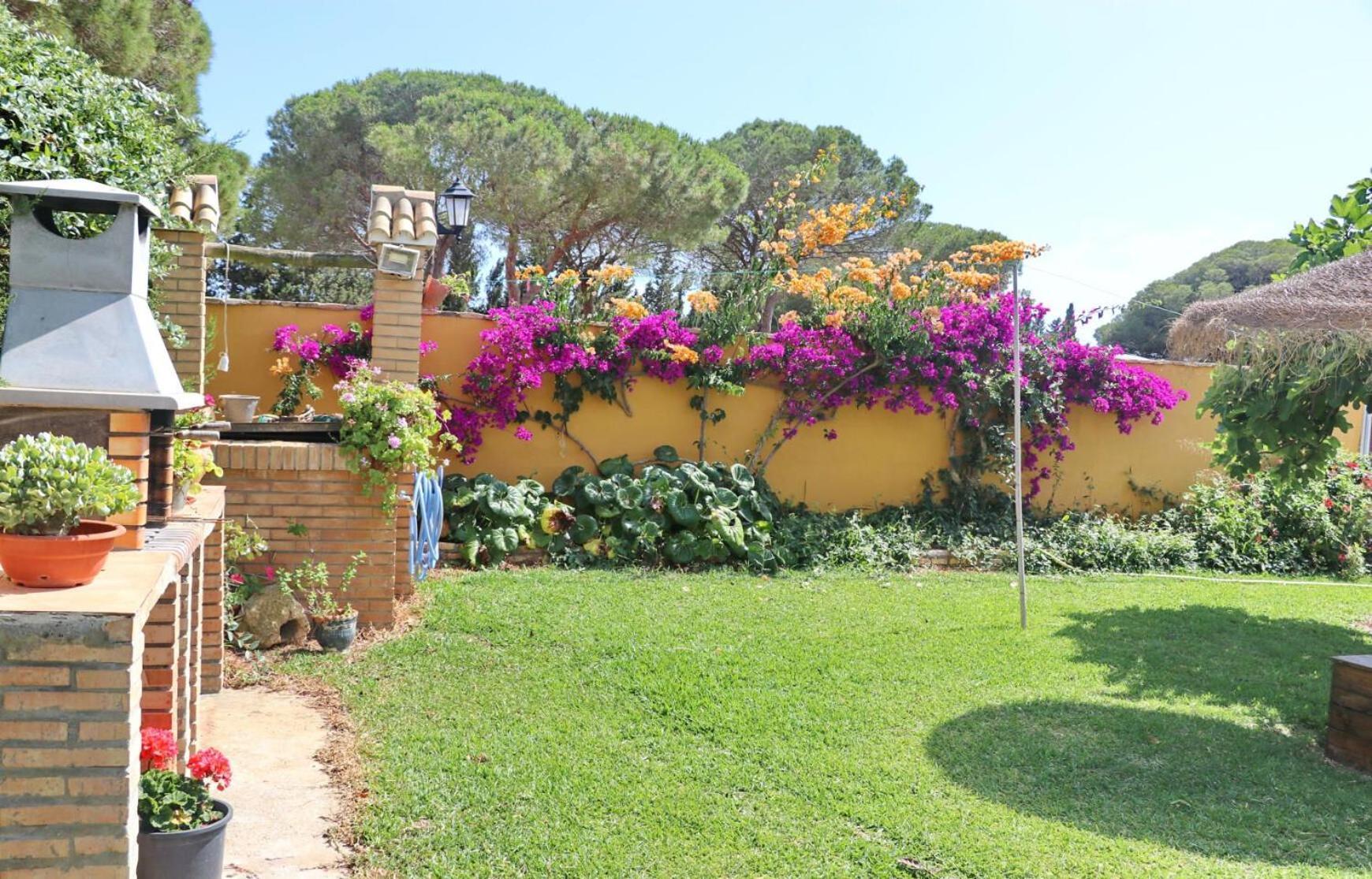 קוניל דה לה פרונטרה Chalet Pilahito מראה חיצוני תמונה